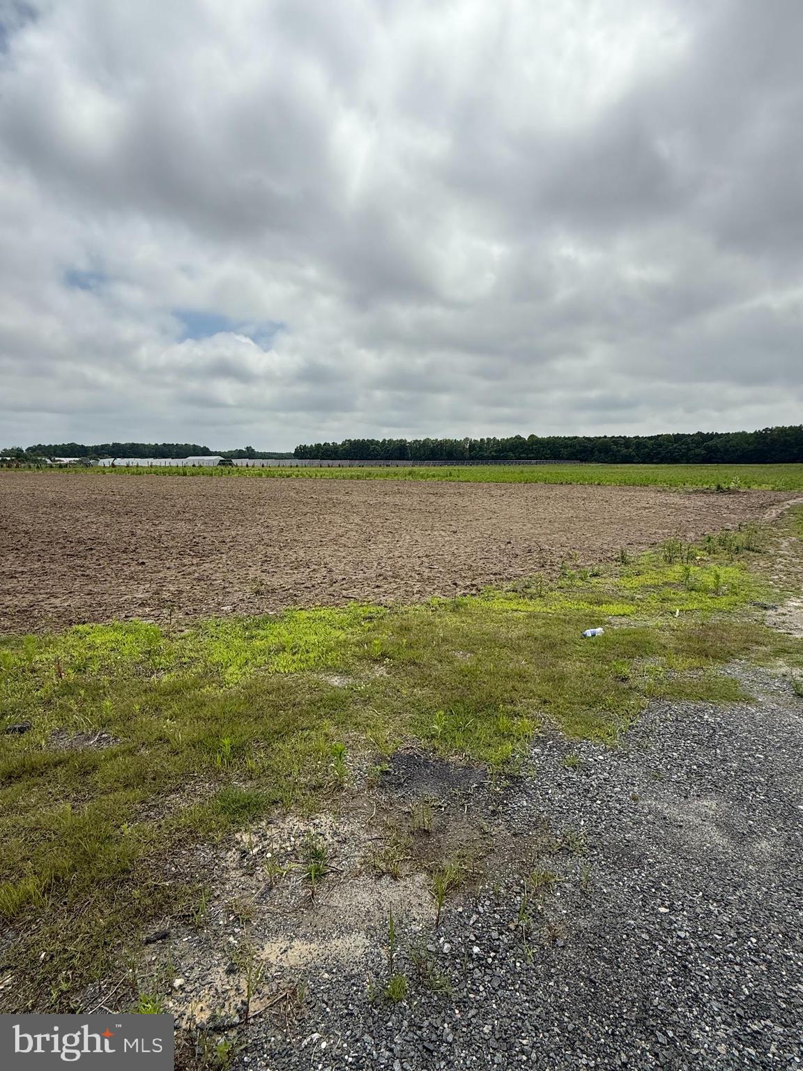 Moreland Lane Georgetown, DE 19947 - Photo 5 of 5