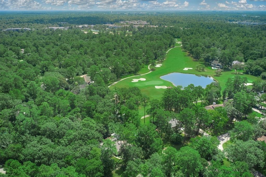 5 Berrypick Lane Spring, TX 77380 - Photo 20 of 20