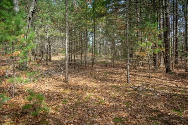 $88,000 | V/l West Holton Whitehall Road, Unit 2 20 A M/L, Whitehall, MI 49461