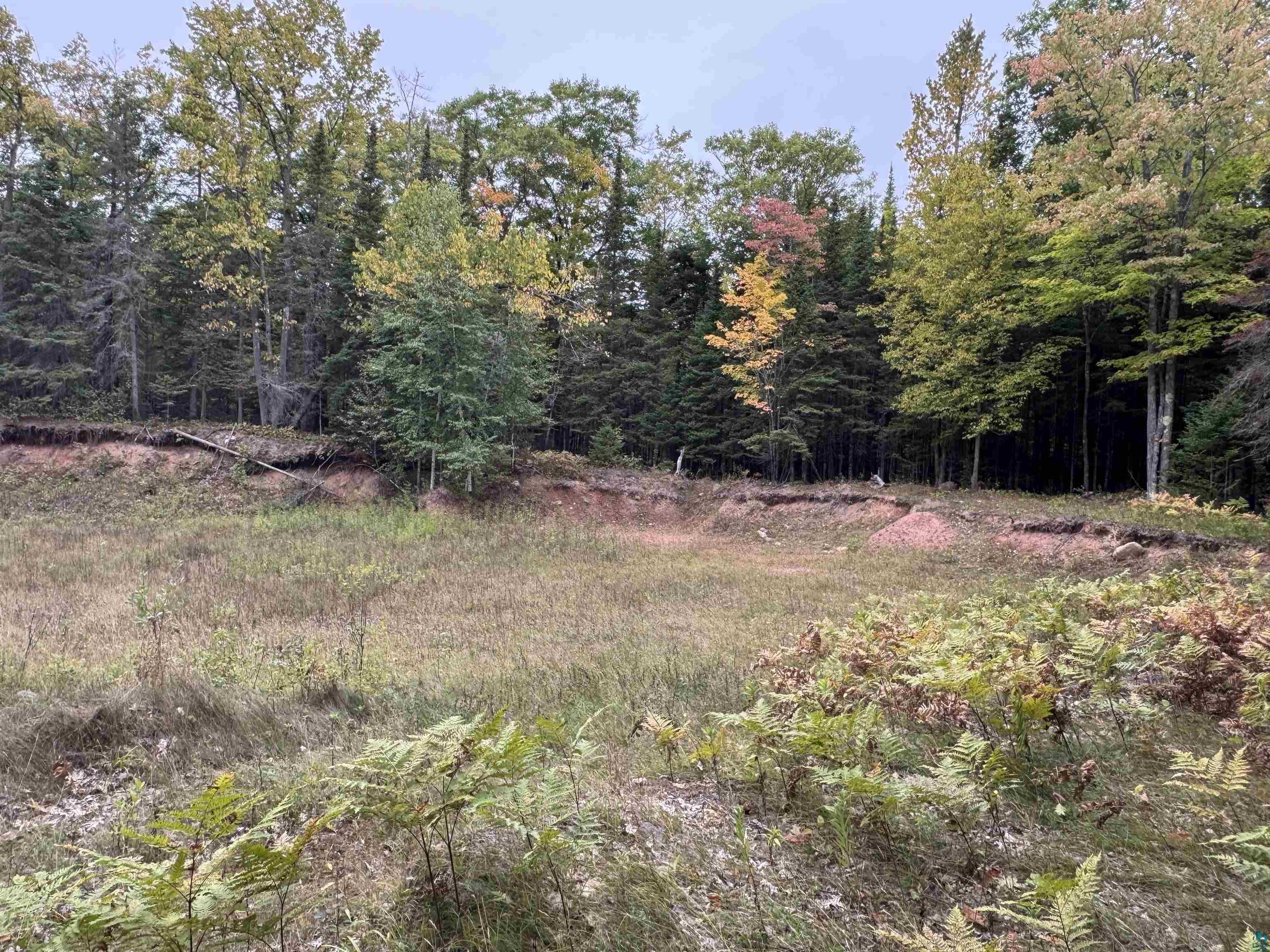 Xxx South Dump Road Maple, WI 54854 - Photo 6 of 9 Gallery Image 6
