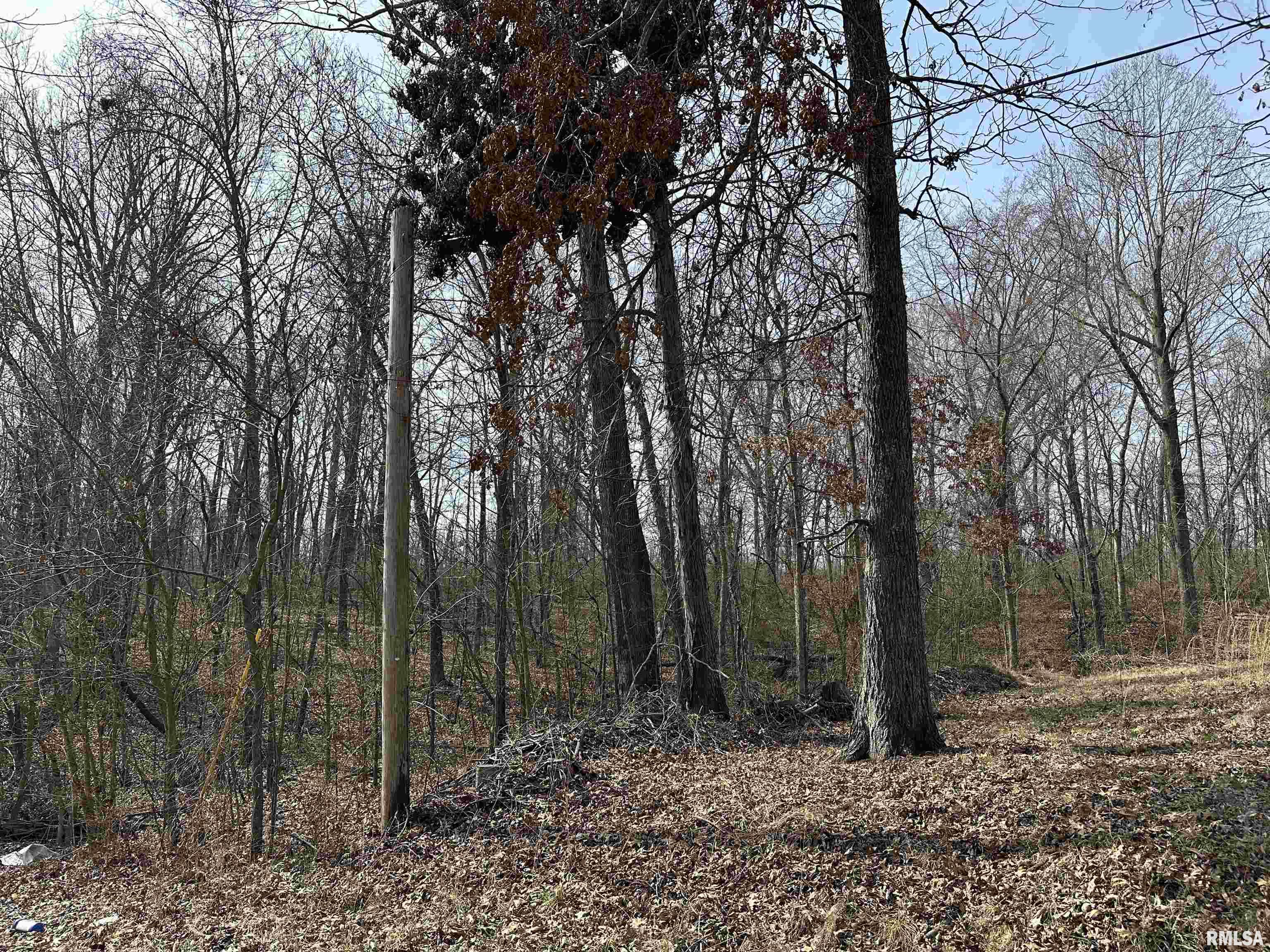 695 Falcon Road Carbondale, IL 62902 - Photo 13 of 17 Gallery Image 13