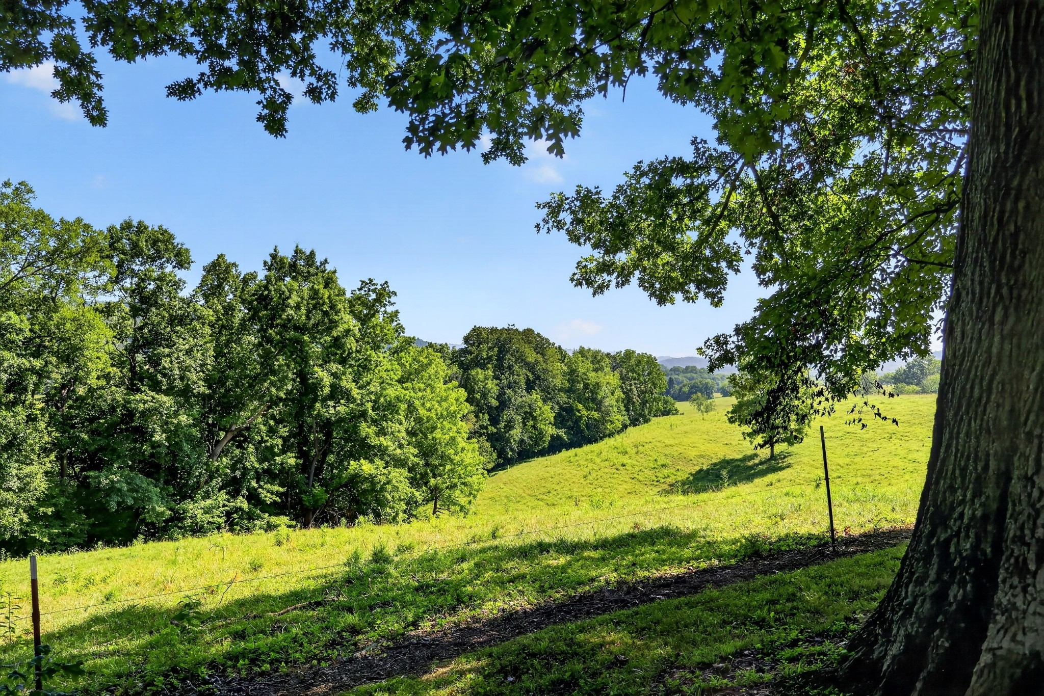 5713 Smith Fork Road Liberty, TN 37095 - Photo 69 of 74
