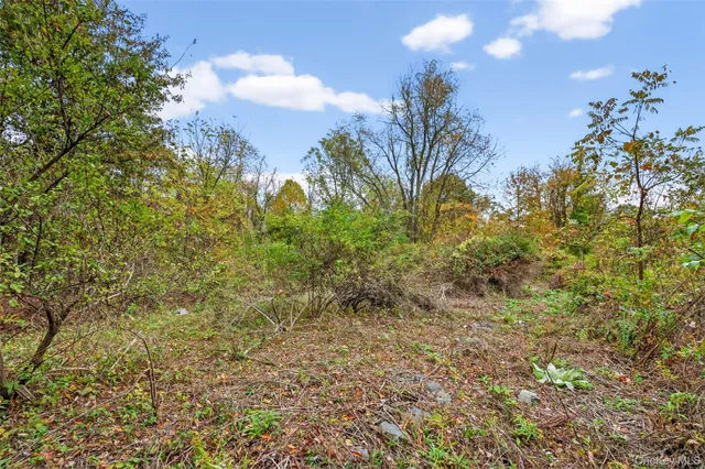 an aerial view of mountain with trees