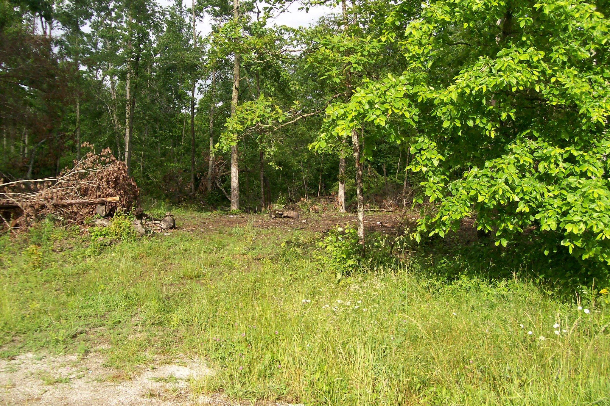 600 West Ravenscroft Road Sparta, TN 38583 - Photo 1 of 4 a view of outdoor space and yard