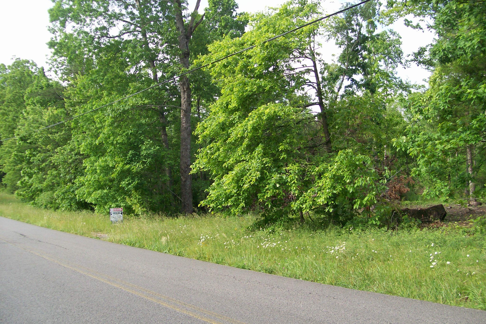 600 West Ravenscroft Road Sparta, TN 38583 - Photo 4 of 4 a view of a garden