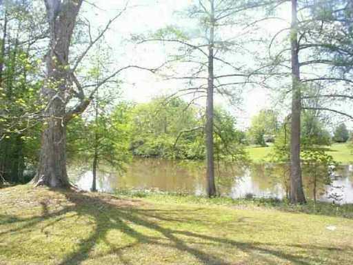 1133 Belgard Bend Road Boyce, LA 71409 - Photo 7 of 7 Gallery Image 7