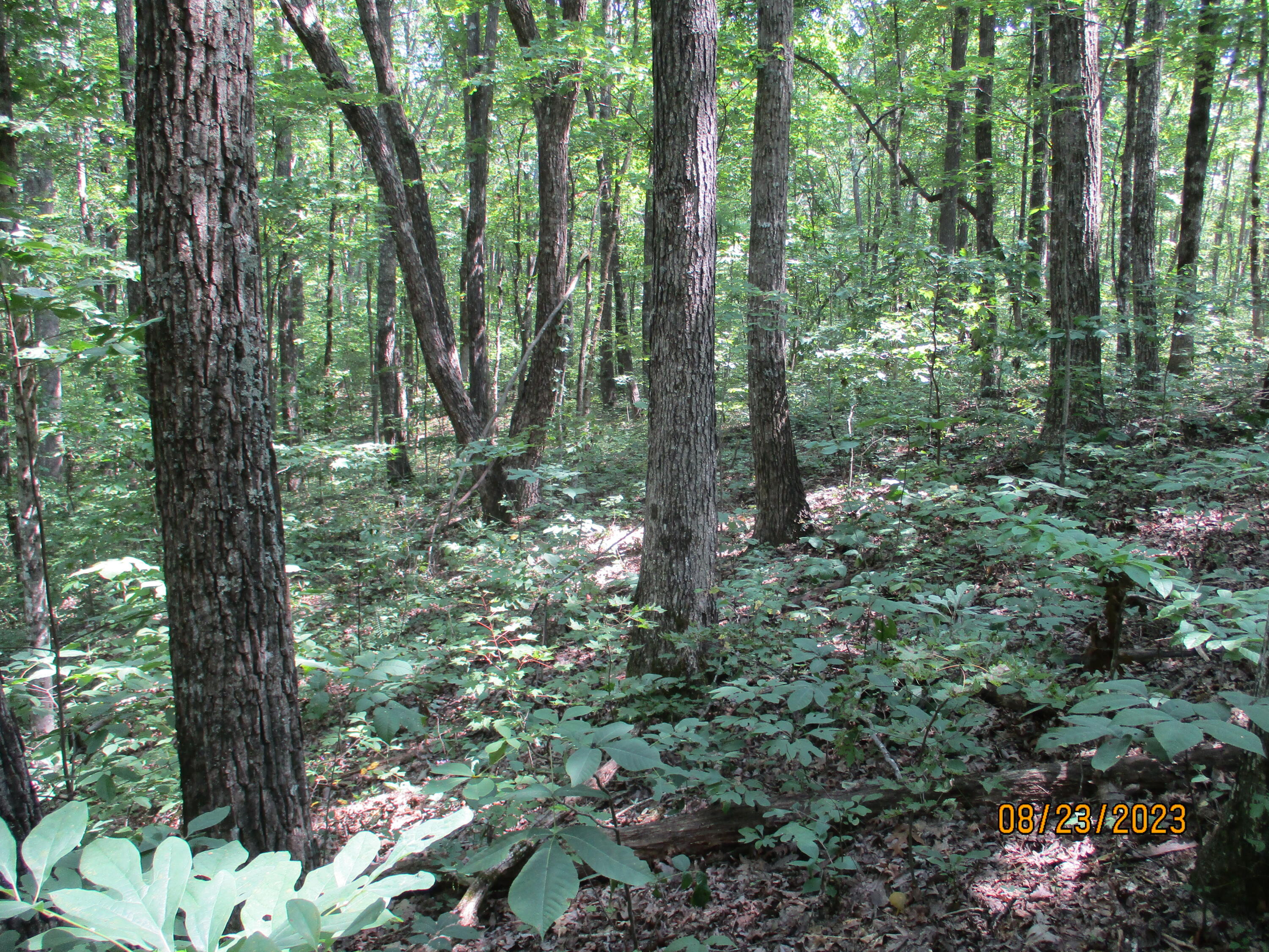 0 West Ridge Road, Unit 167 Crossville, TN 38572 - Photo 11 of 16 IMG_1887