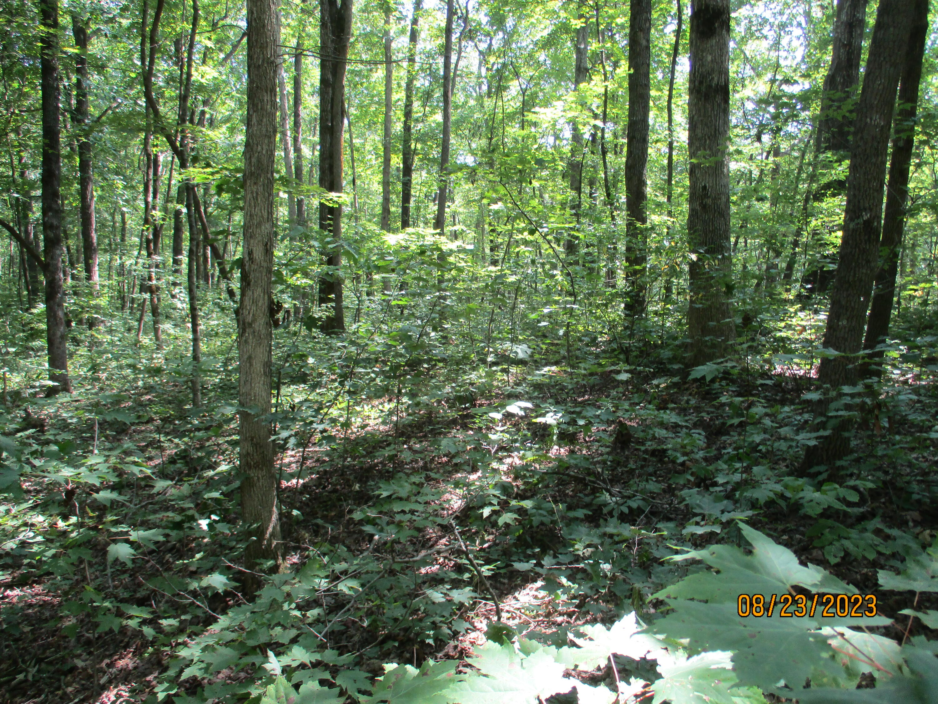0 West Ridge Road, Unit 167 Crossville, TN 38572 - Photo 12 of 16 IMG_1888