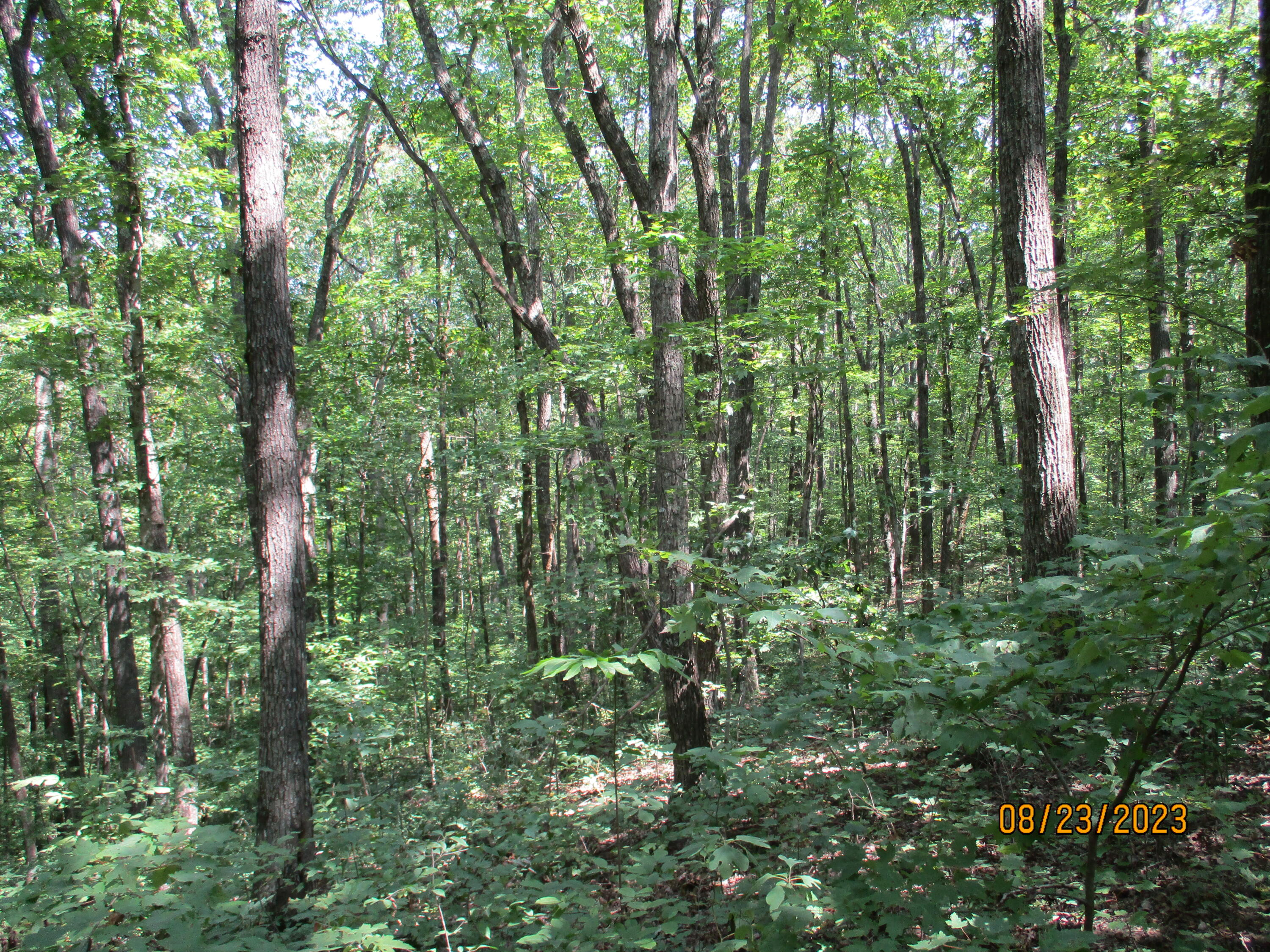 0 West Ridge Road, Unit 167 Crossville, TN 38572 - Photo 13 of 16 IMG_1889