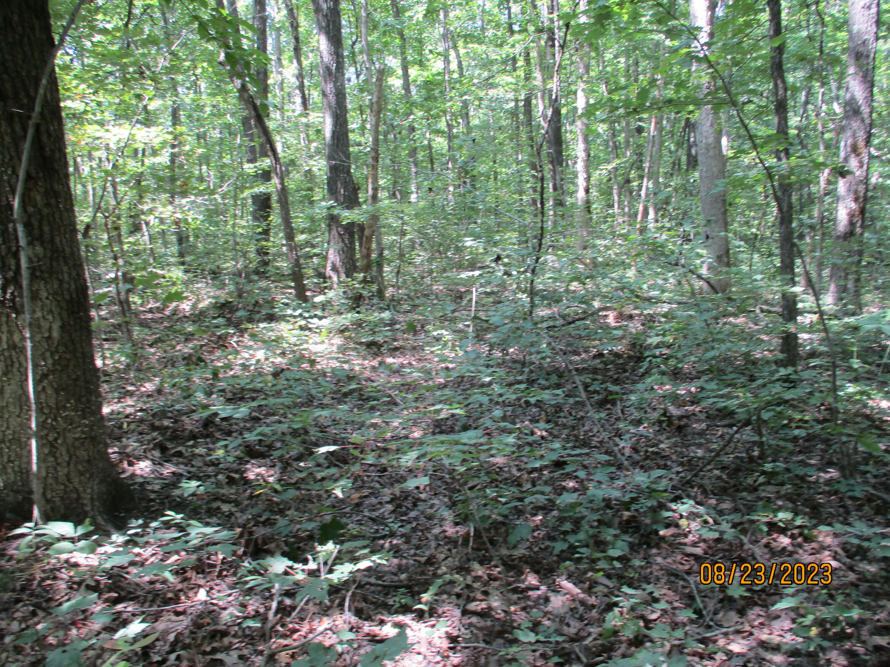 0 West Ridge Road, Unit 167 Crossville, TN 38572 - Photo 14 of 16 IMG_1890