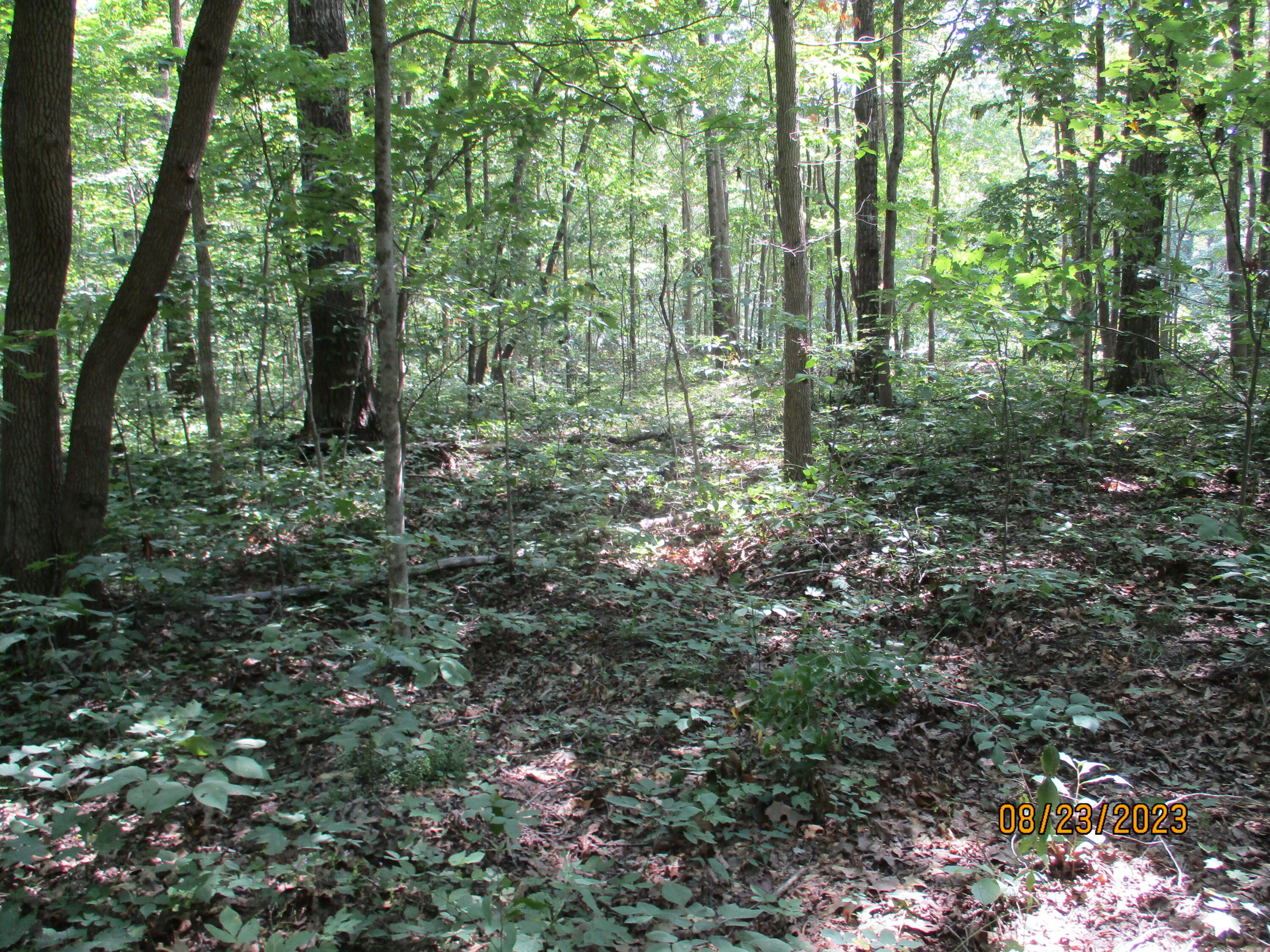 0 West Ridge Road, Unit 167 Crossville, TN 38572 - Photo 15 of 16 IMG_1891