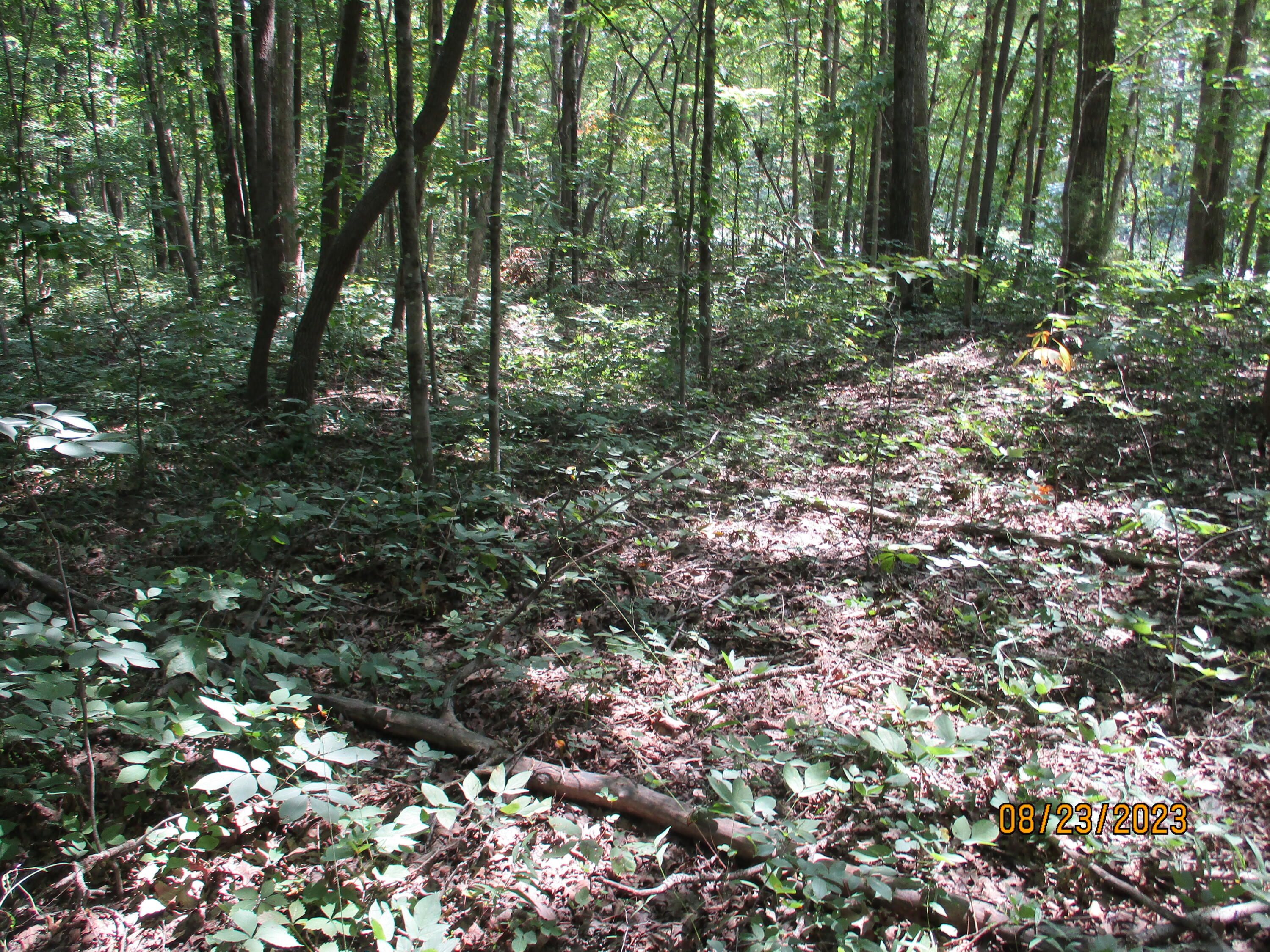 0 West Ridge Road, Unit 167 Crossville, TN 38572 - Photo 16 of 16 IMG_1892