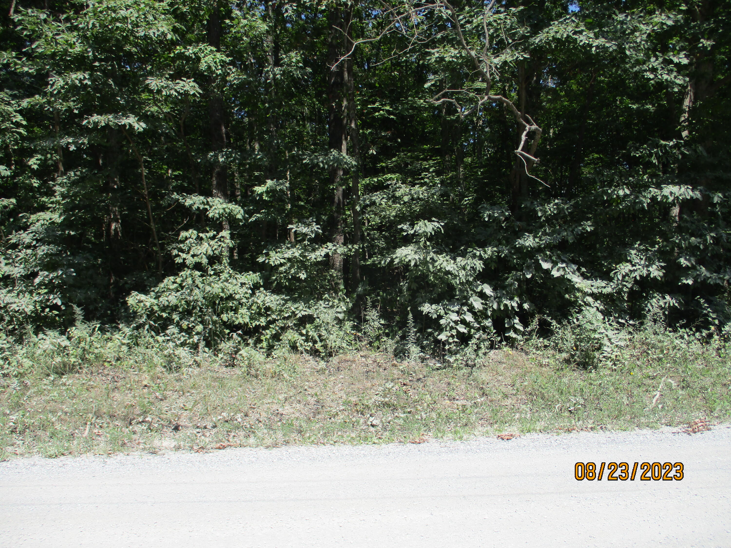 0 West Ridge Road, Unit 167 Crossville, TN 38572 - Photo 2 of 16 IMG_1878