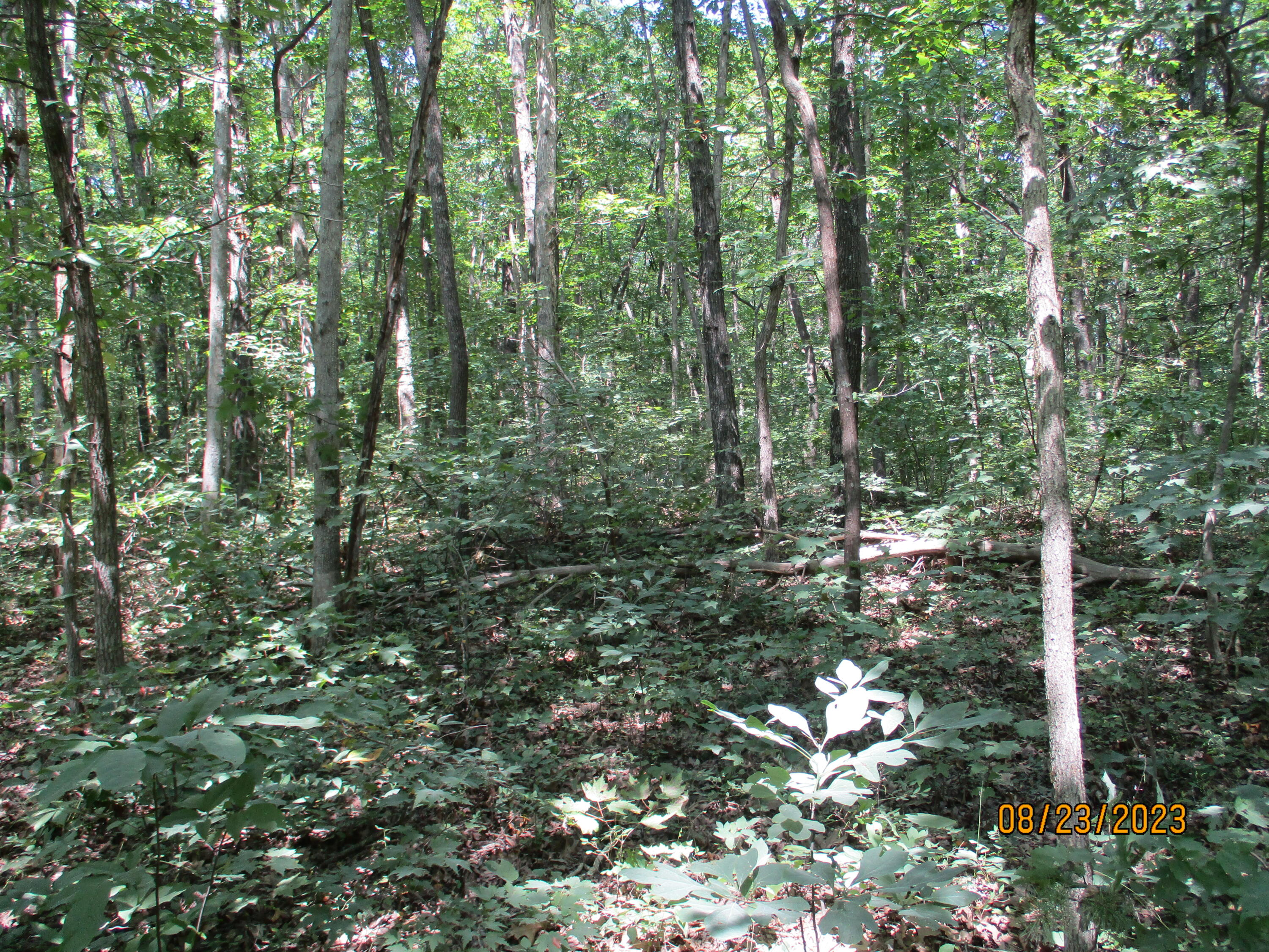 0 West Ridge Road, Unit 167 Crossville, TN 38572 - Photo 3 of 16 IMG_1879