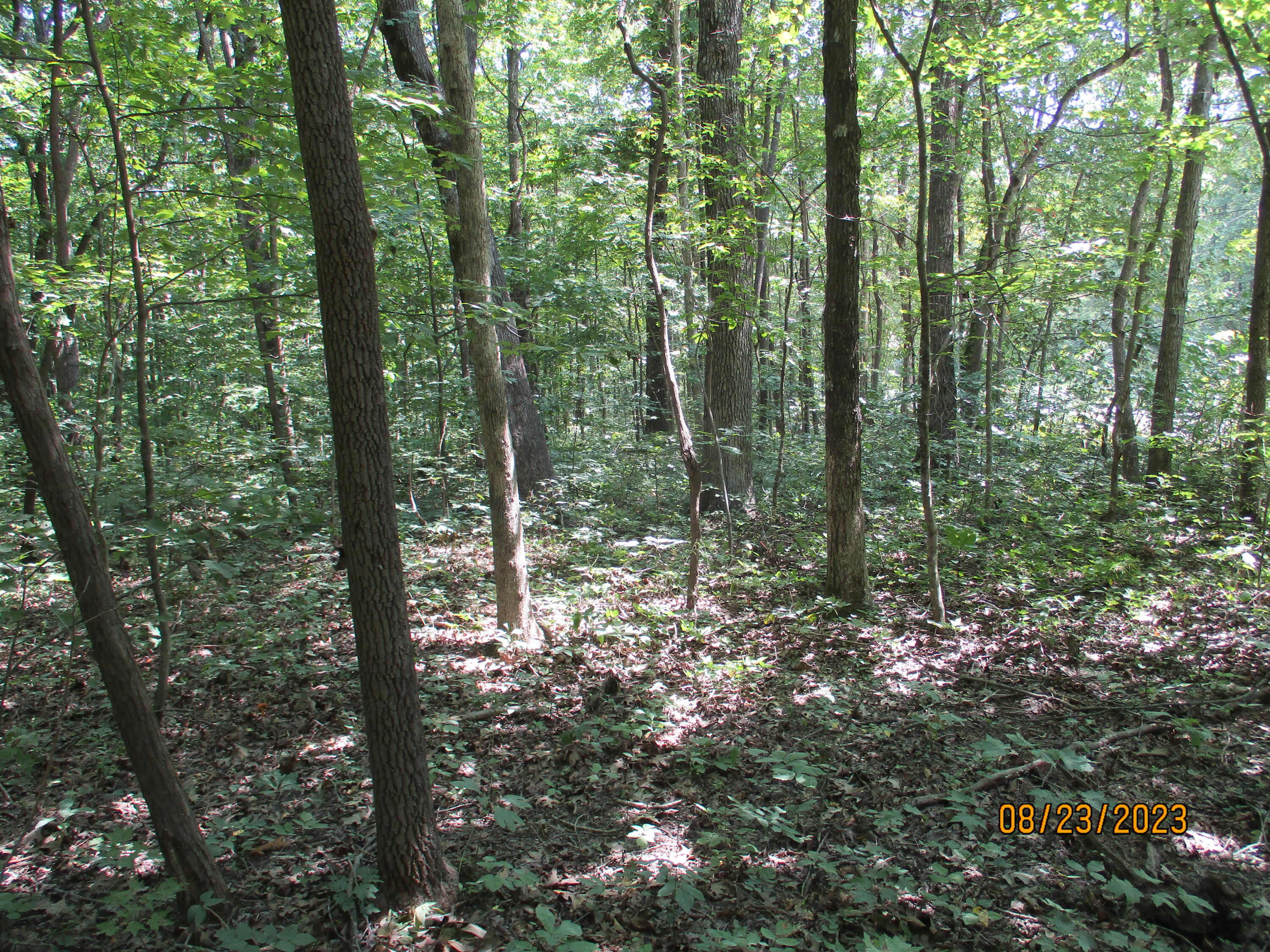 0 West Ridge Road, Unit 167 Crossville, TN 38572 - Photo 4 of 16 IMG_1880