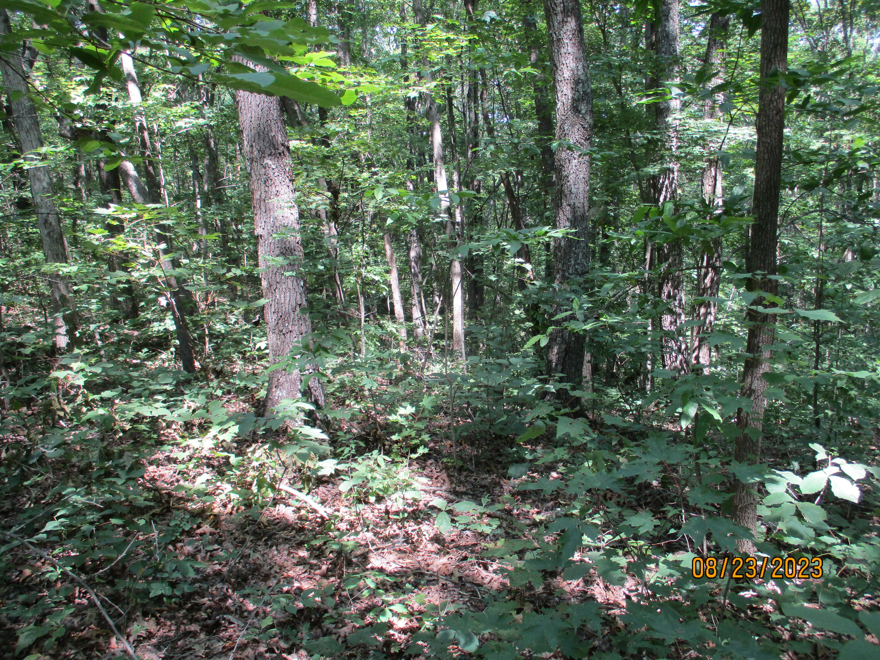 0 West Ridge Road, Unit 167 Crossville, TN 38572 - Photo 5 of 16 IMG_1881
