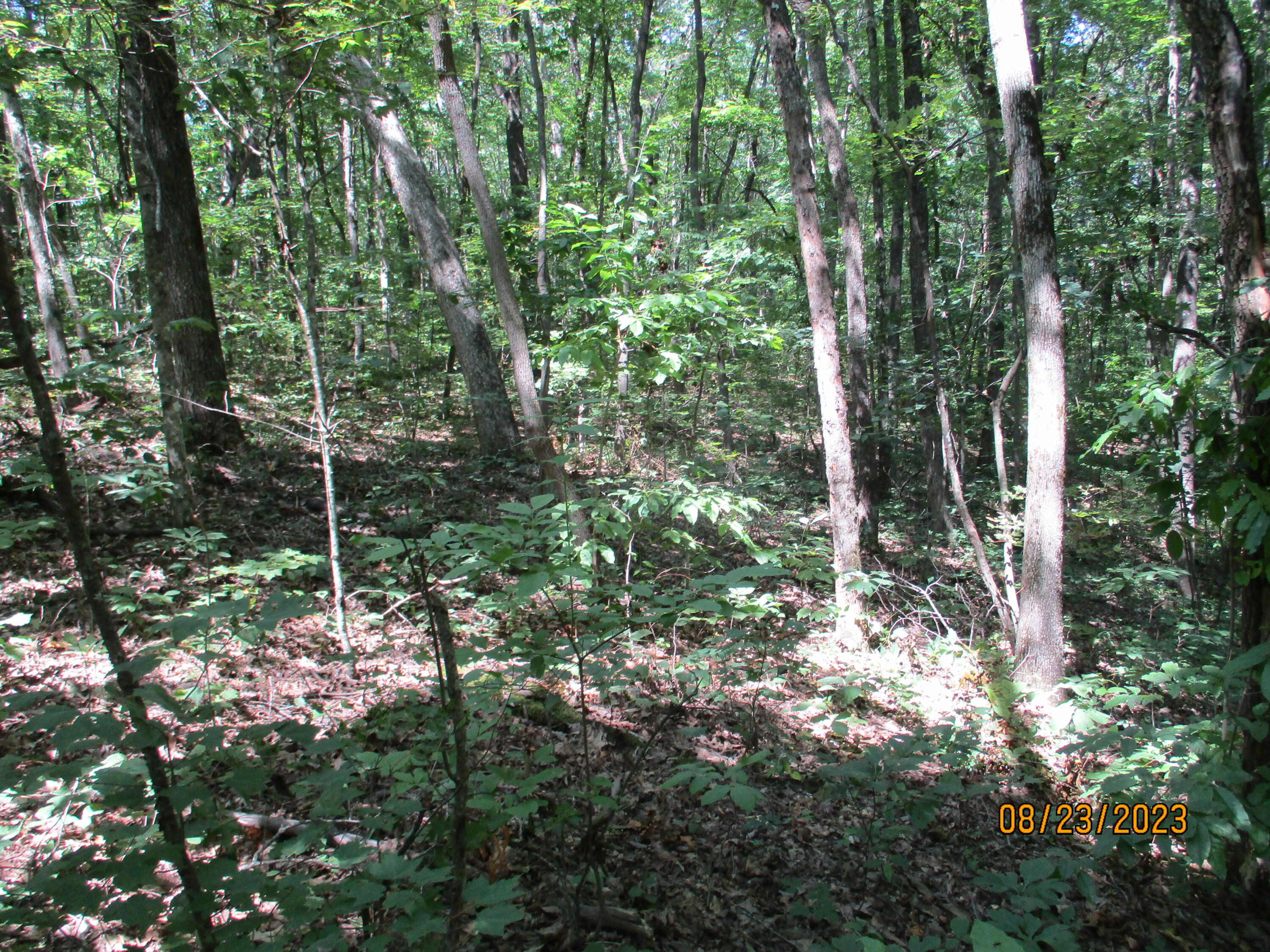 0 West Ridge Road, Unit 167 Crossville, TN 38572 - Photo 6 of 16 IMG_1882