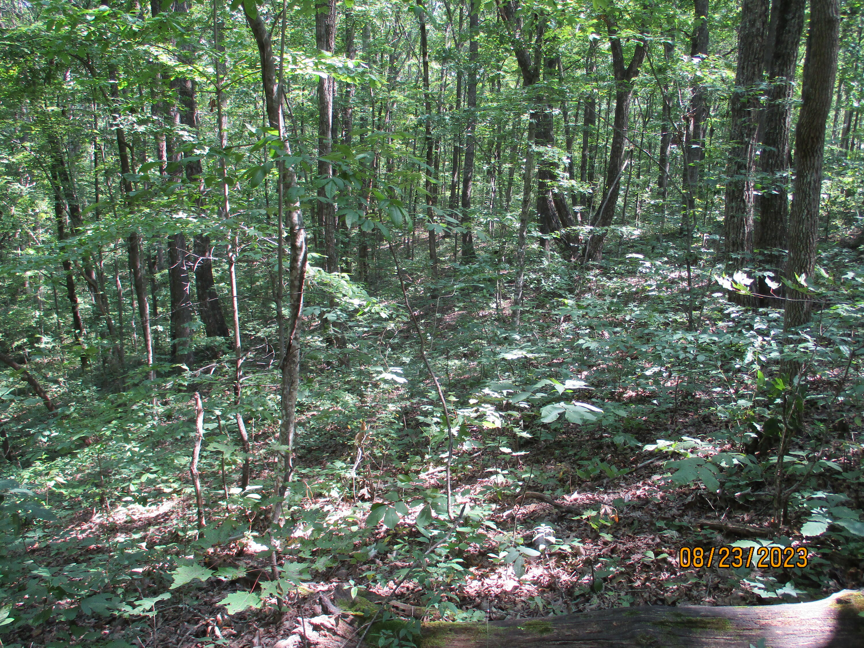 0 West Ridge Road, Unit 167 Crossville, TN 38572 - Photo 7 of 16 IMG_1883