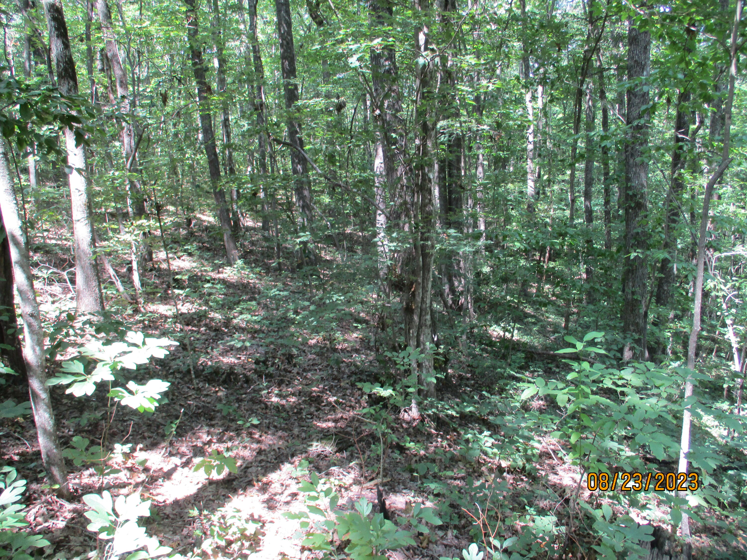 0 West Ridge Road, Unit 167 Crossville, TN 38572 - Photo 8 of 16 IMG_1884