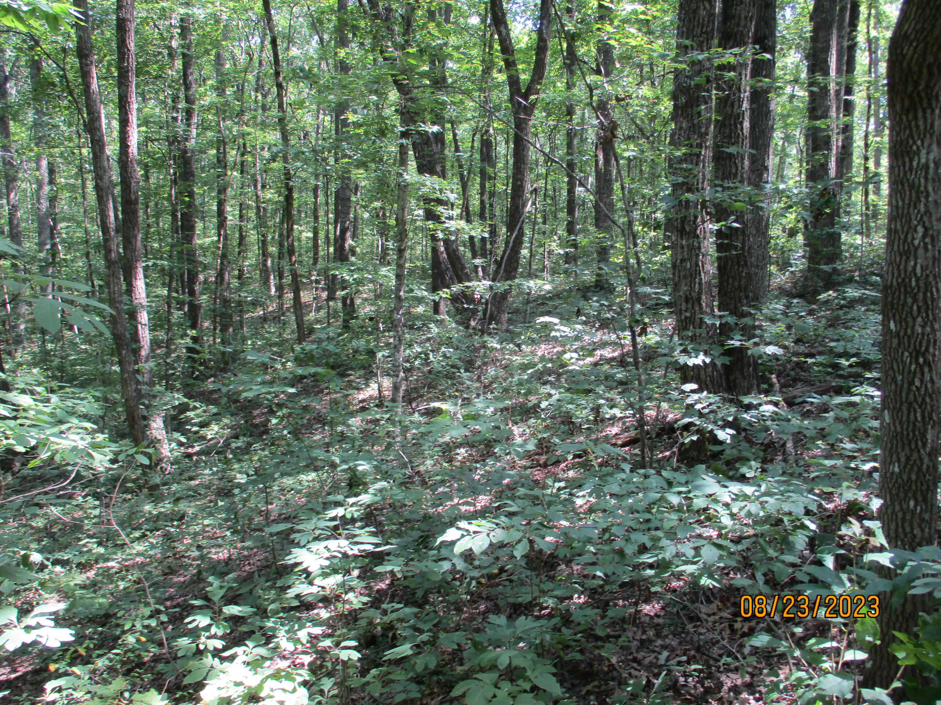 0 West Ridge Road, Unit 167 Crossville, TN 38572 - Photo 9 of 16 IMG_1885
