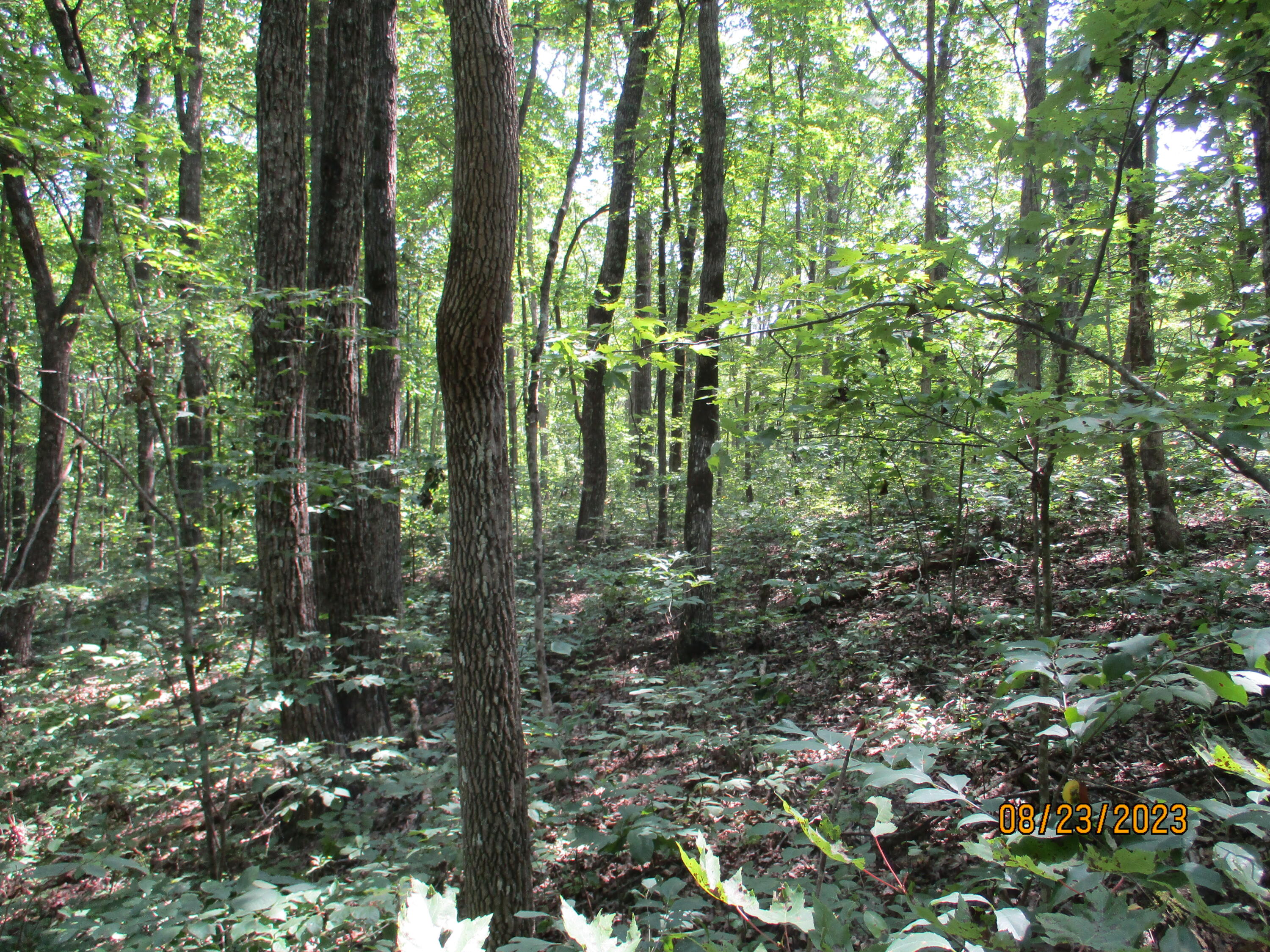 0 West Ridge Road, Unit 167 Crossville, TN 38572 - Photo 10 of 16 IMG_1886