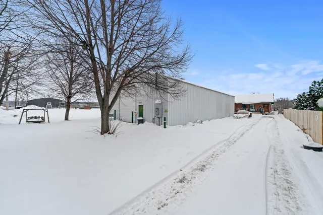a street view with large trees