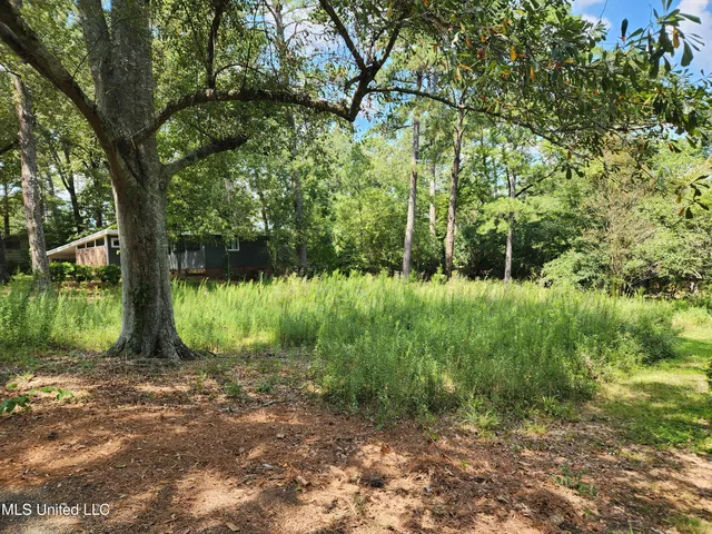 $28,000 | 1766 Hillview Drive, Jackson, MS 39211