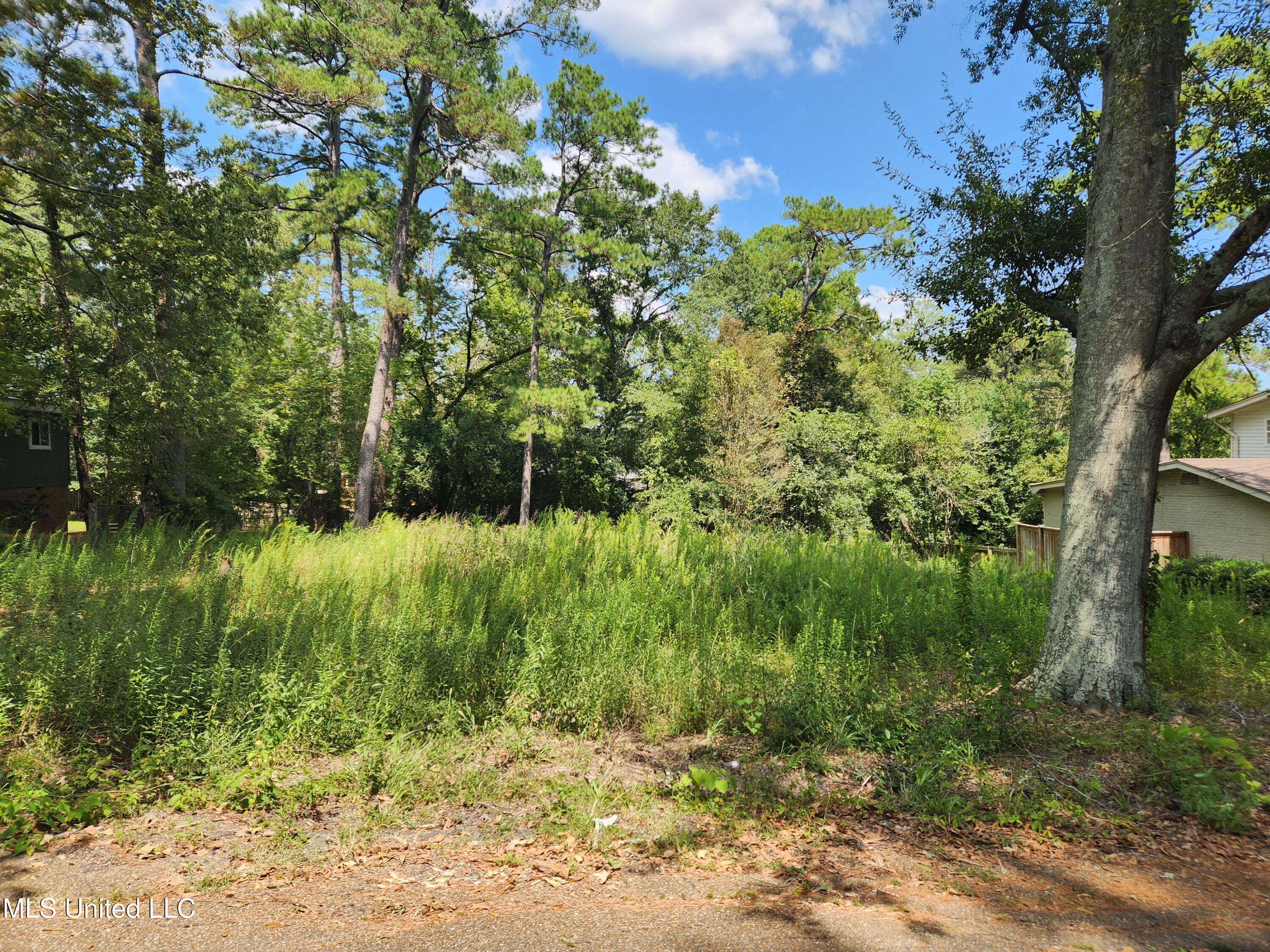 1766 Hillview Drive Jackson, MS 39211 - Photo 4 of 5 20250912_124543
