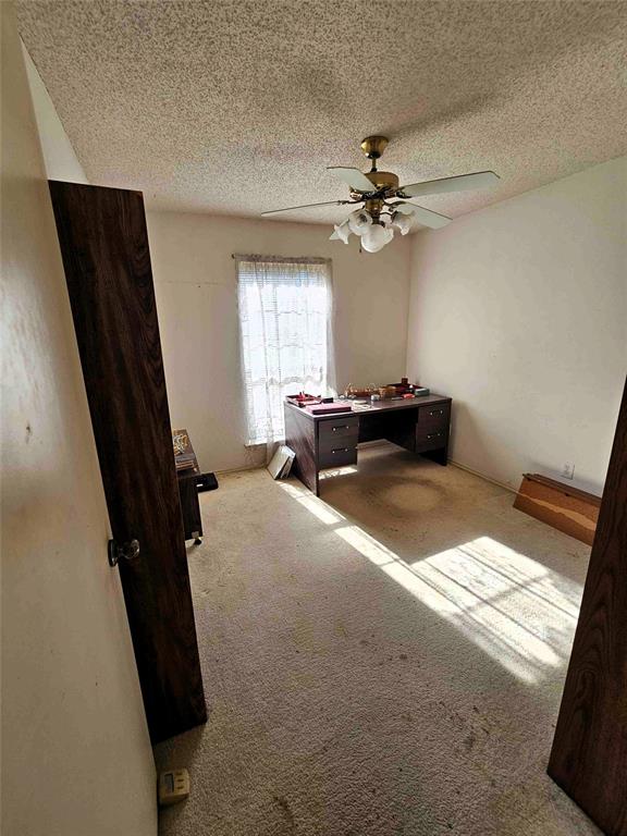 503 Pin Oak Drive Terrell, TX 75161 - Photo 16 of 23 a living room with furniture and a window
