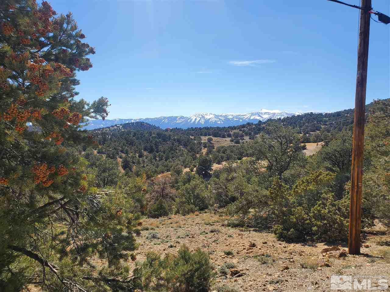 21275 Saddleback Road, Unit 358 Reno, NV 89521 - Photo 7 of 9 a view of a dry yard with mountains in the background