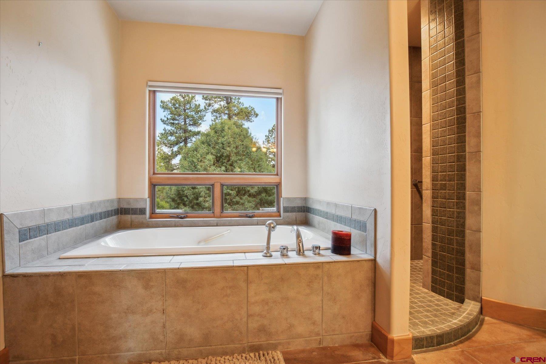152 Peak Trail Drive Durango, CO 81303 - Photo 29 of 44 a bath tub sitting in a bathroom next to a window