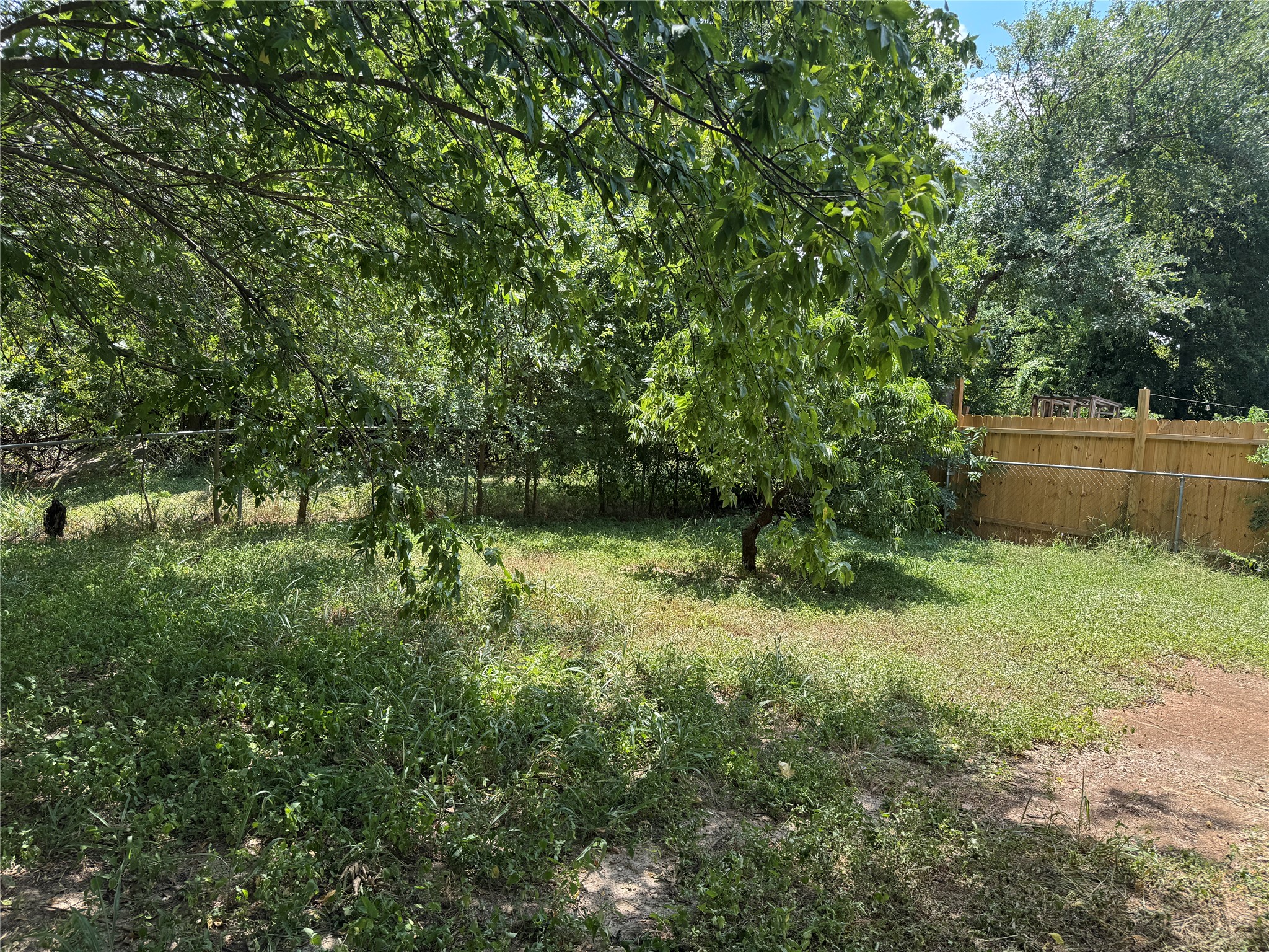 12503 Turtle Rock Road, Unit B Austin, TX 78729 - Photo 16 of 17 a backyard of a house with lots of green space