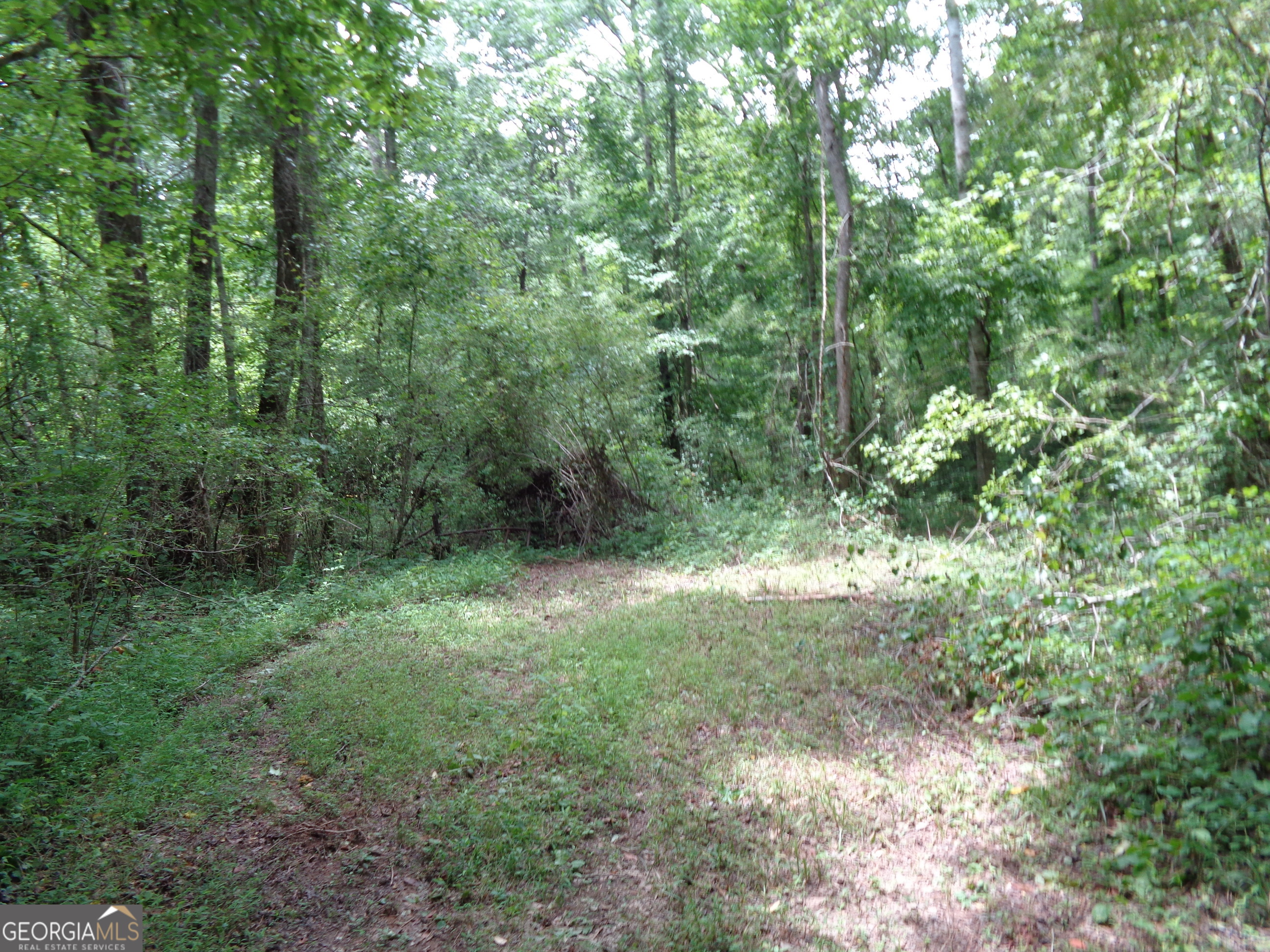 2411 Kesler Road Carnesville, GA 30521 - Photo 6 of 61 a view of a yard with a trees