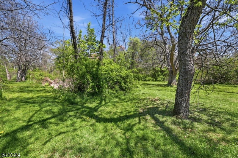 138 Bartley Road Long Valley, NJ 07853 - Photo 20 of 31