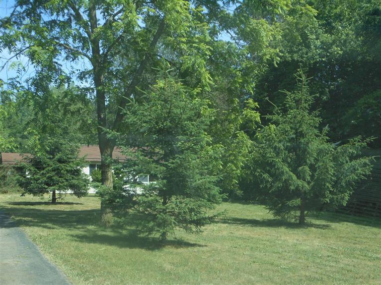 12815 Case Road Bellevue, MI 49021 - Photo 3 of 13 Additional Photo