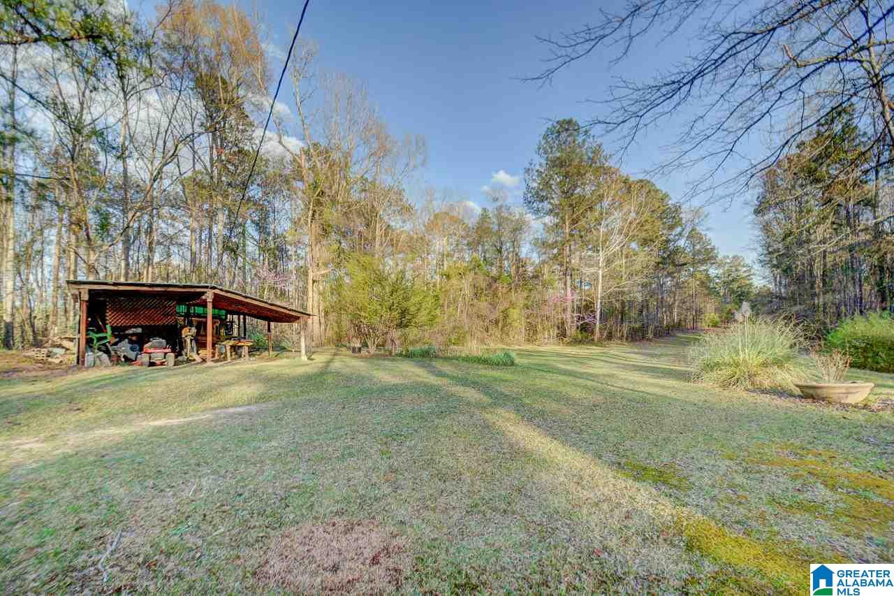 1351 Hinkle Road Clanton, AL 35045 - Photo 9 of 36