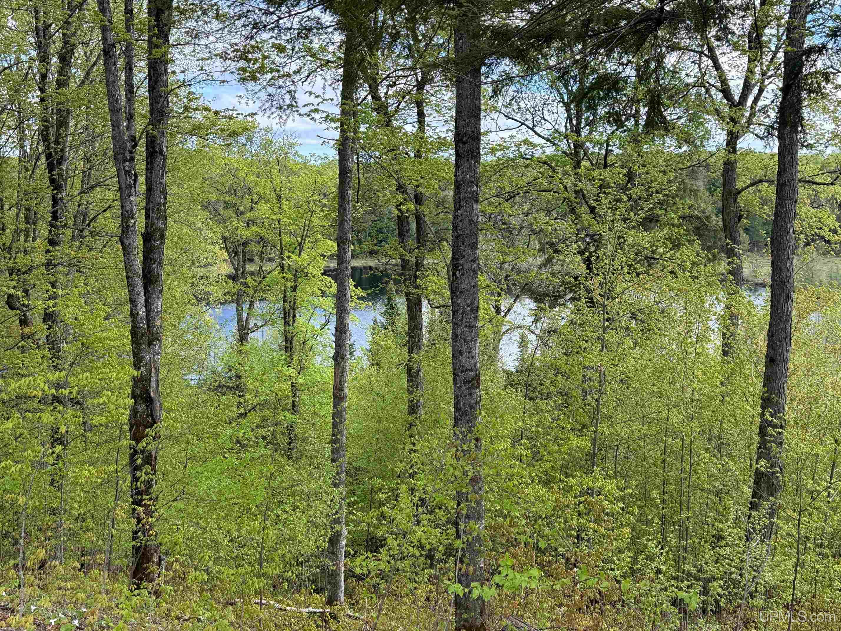 Tbd10 Baraga Plains Road Lanse, MI 49946 - Photo 14 of 19