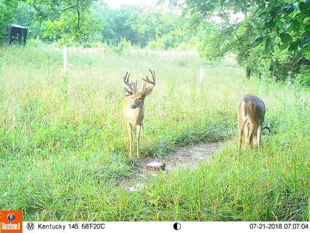 0 Mann Road Mount Olivet, KY 41064 - Photo 42 of 46