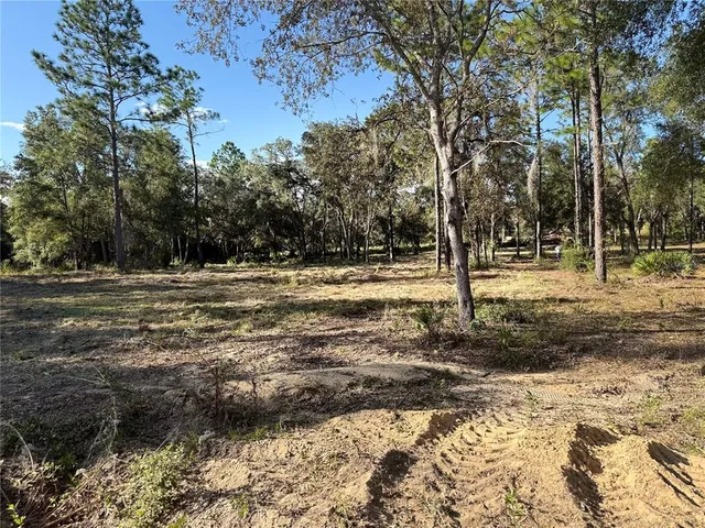 a fire hydrant in the middle of a field