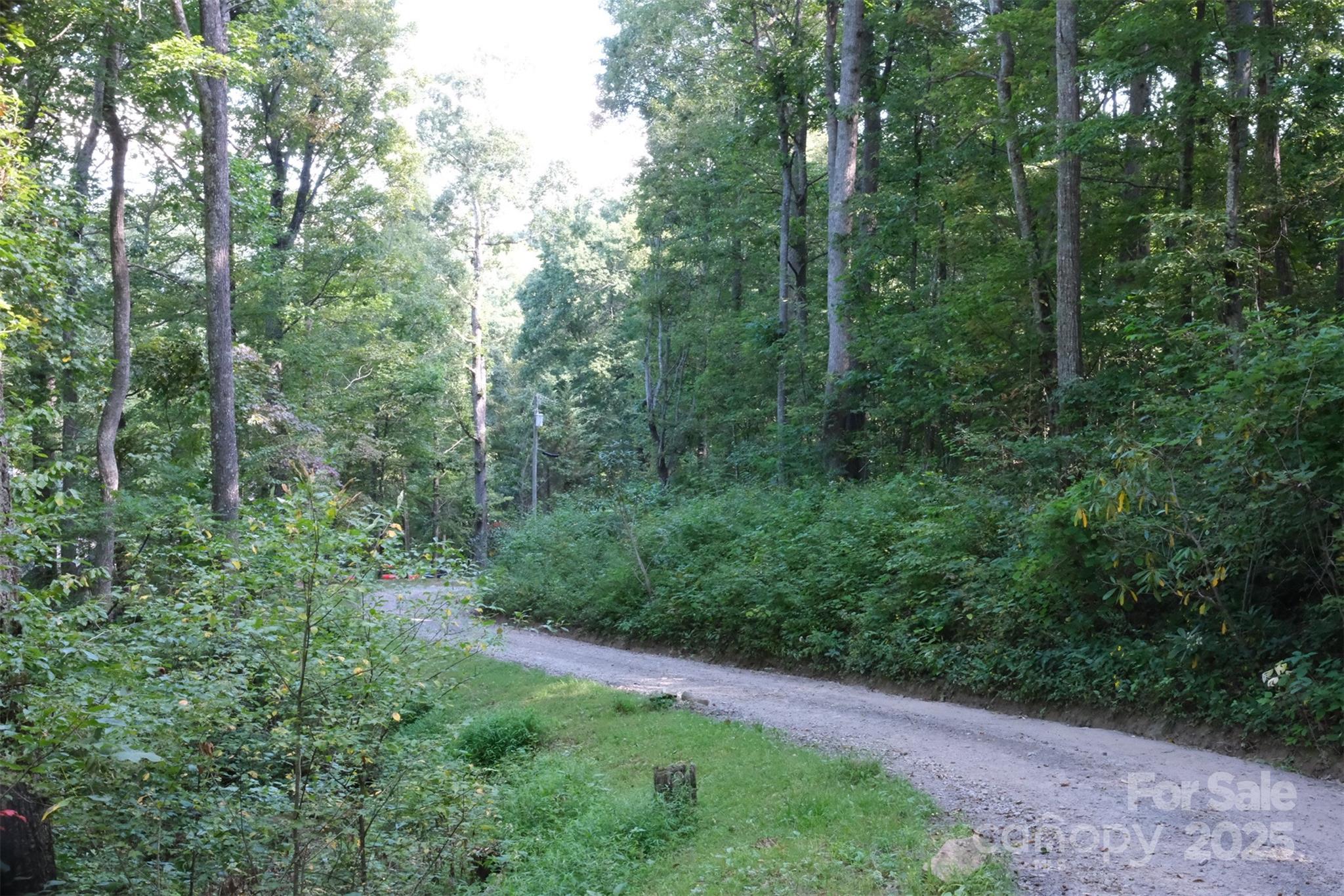 12 Caperton Point Road, Unit 12 Swannanoa, NC 28778 - Photo 2 of 4 a view of a forest with trees in the background