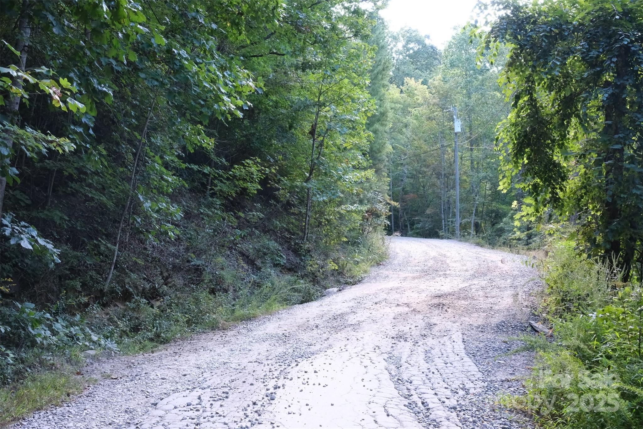 12 Caperton Point Road, Unit 12 Swannanoa, NC 28778 - Photo 3 of 4 a view of a dry yard with lots of trees