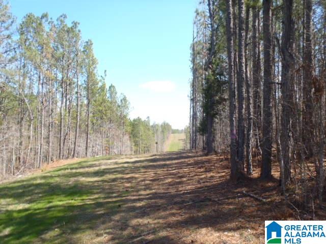 0 Shocco Springs Road, Unit 40 5 AC Talladega, AL 35160 - Photo 13 of 30