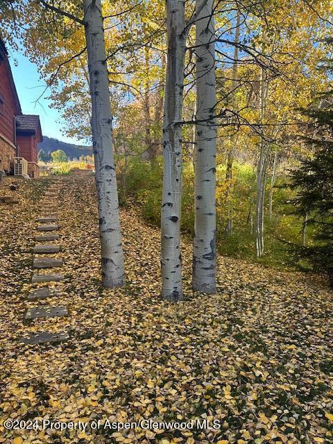 71 Meadow Road Snowmass Village, CO 81615 - Photo 48 of 48 a backyard of a building