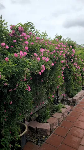 $239,999 | 18406 Hilltop Climb Drive, Hockley, TX 77447