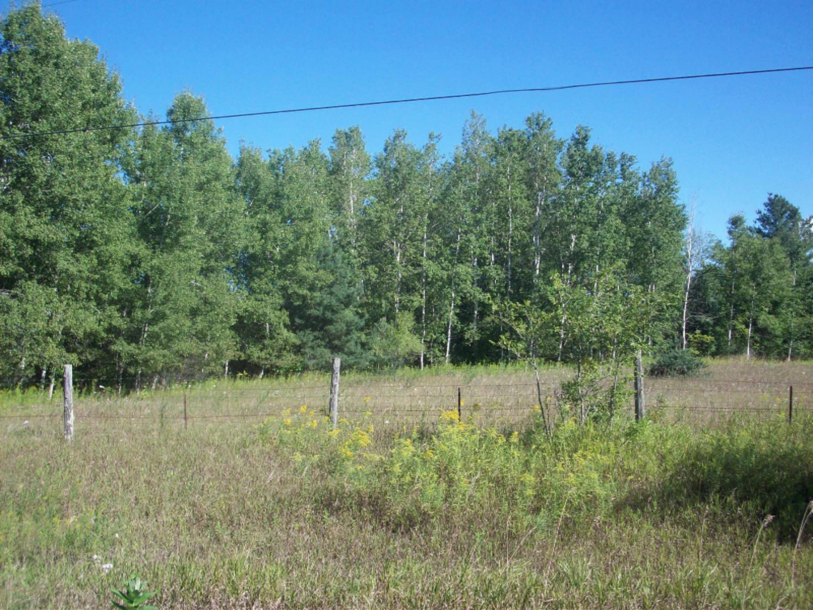 4.58 22 Mile Road Paris, MI 49338 - Photo 2 of 3 100_3315