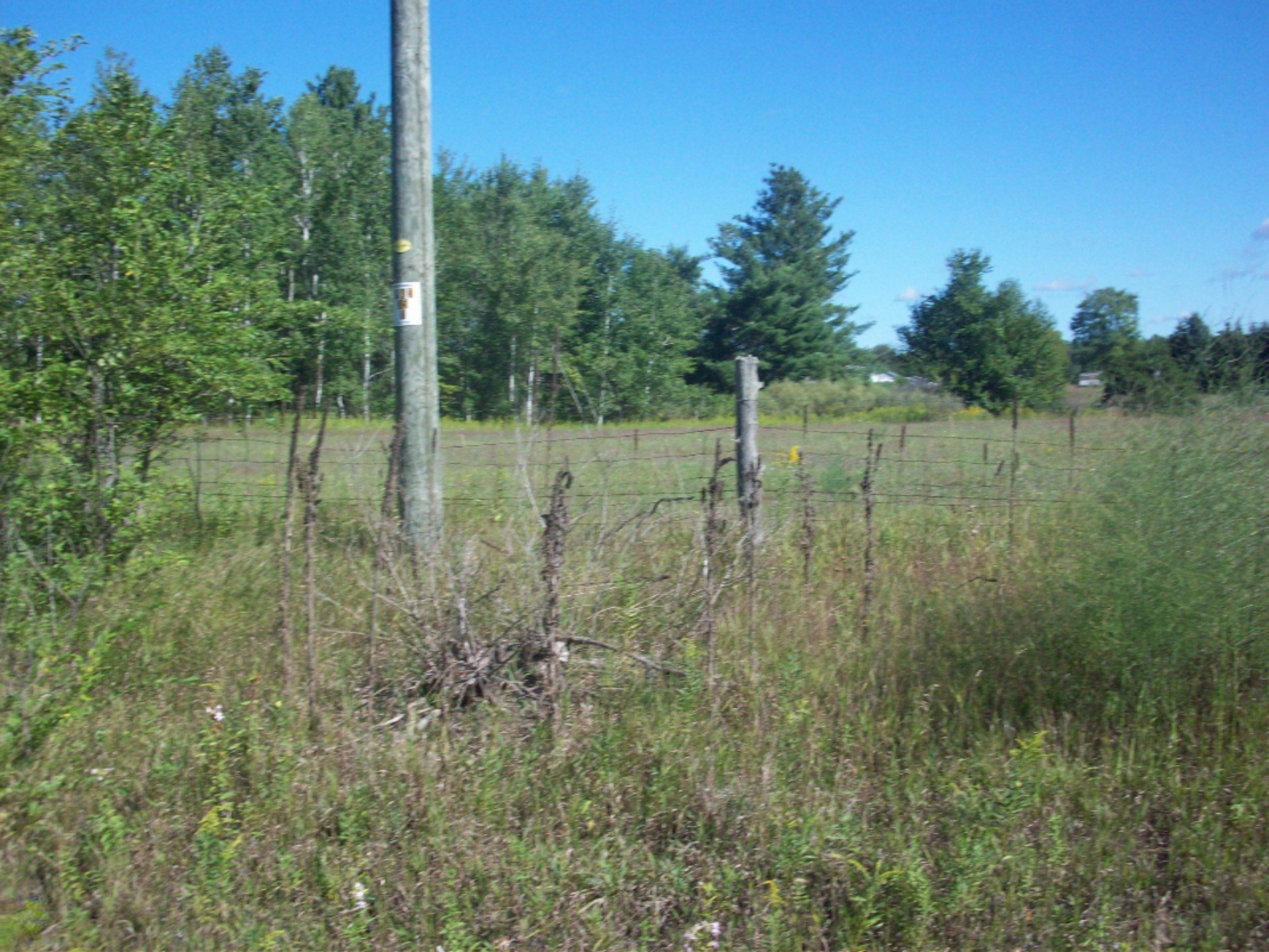 4.58 22 Mile Road Paris, MI 49338 - Photo 3 of 3 100_3316