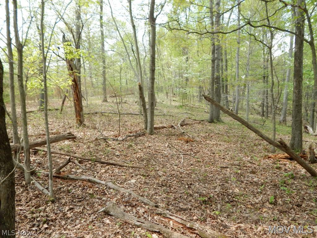 1474 Sheeps Run Road Petroleum, WV 26161 - Photo 10 of 15