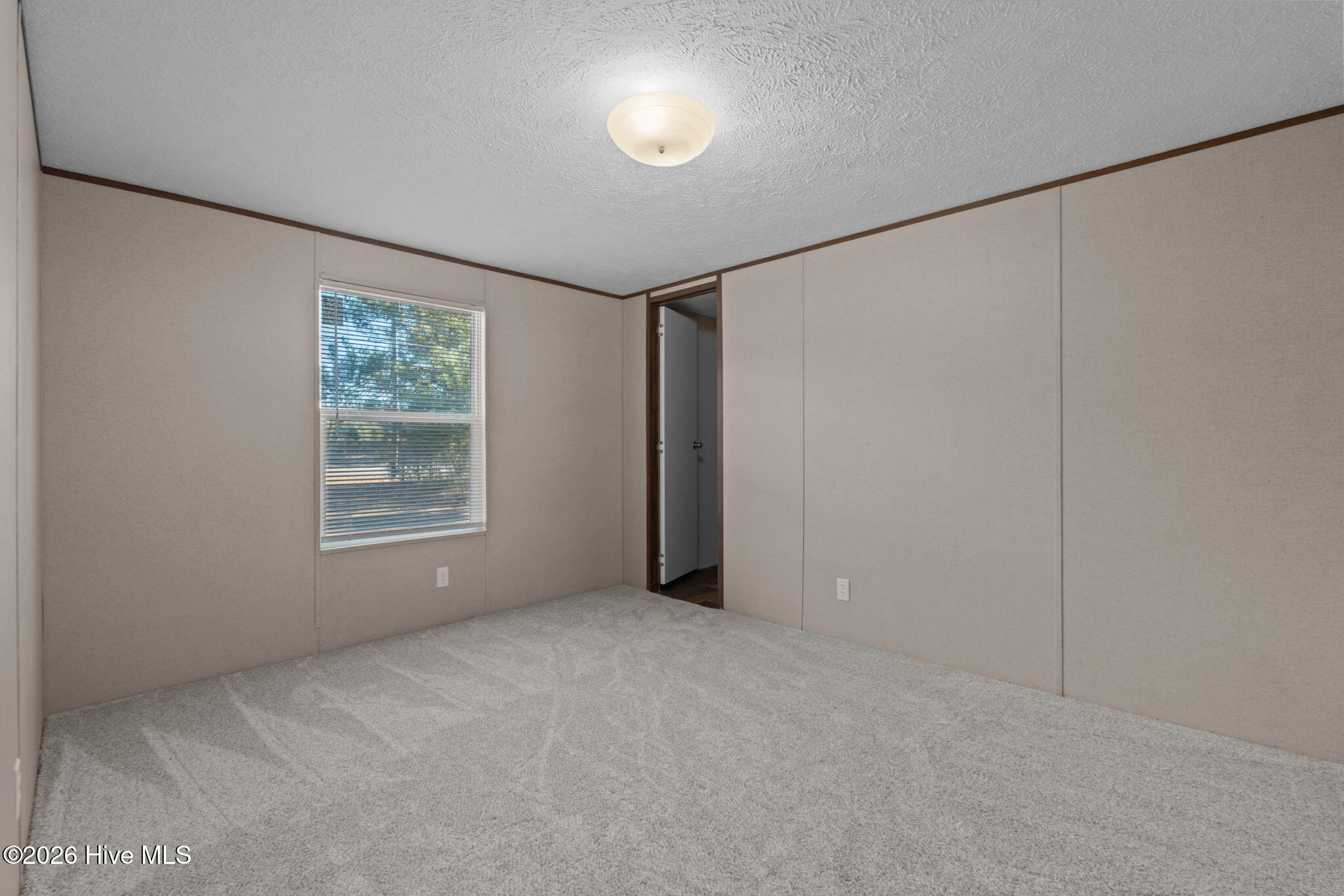 2800 Lobelia Road Vass, NC 28394 - Photo 15 of 37 18-web-or-mls-DSC02747