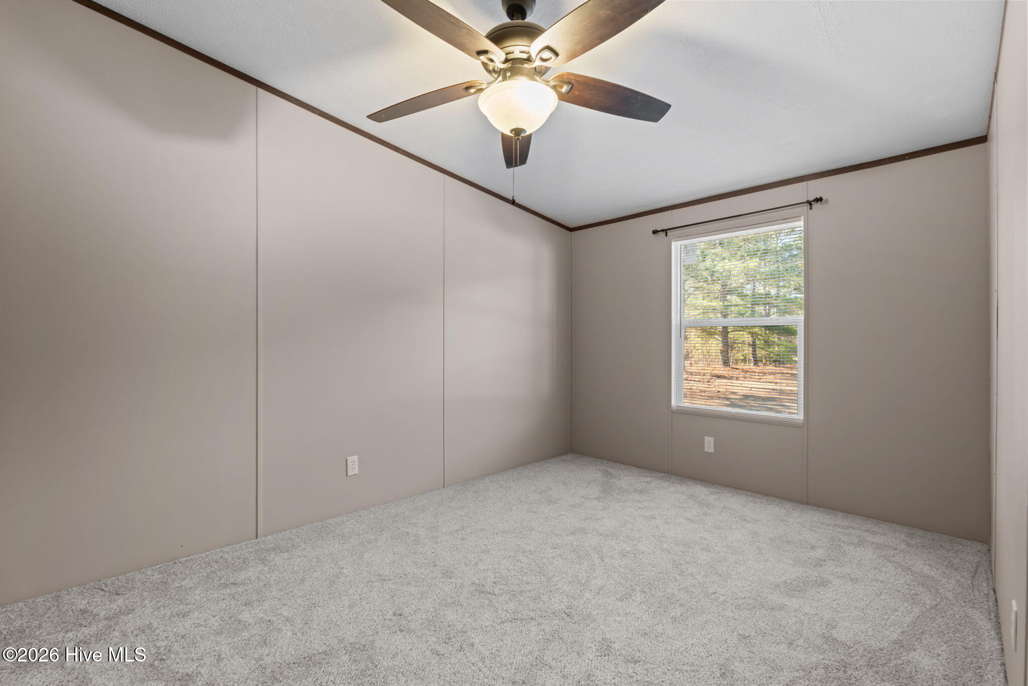 2800 Lobelia Road Vass, NC 28394 - Photo 19 of 37 22-web-or-mls-DSC02759