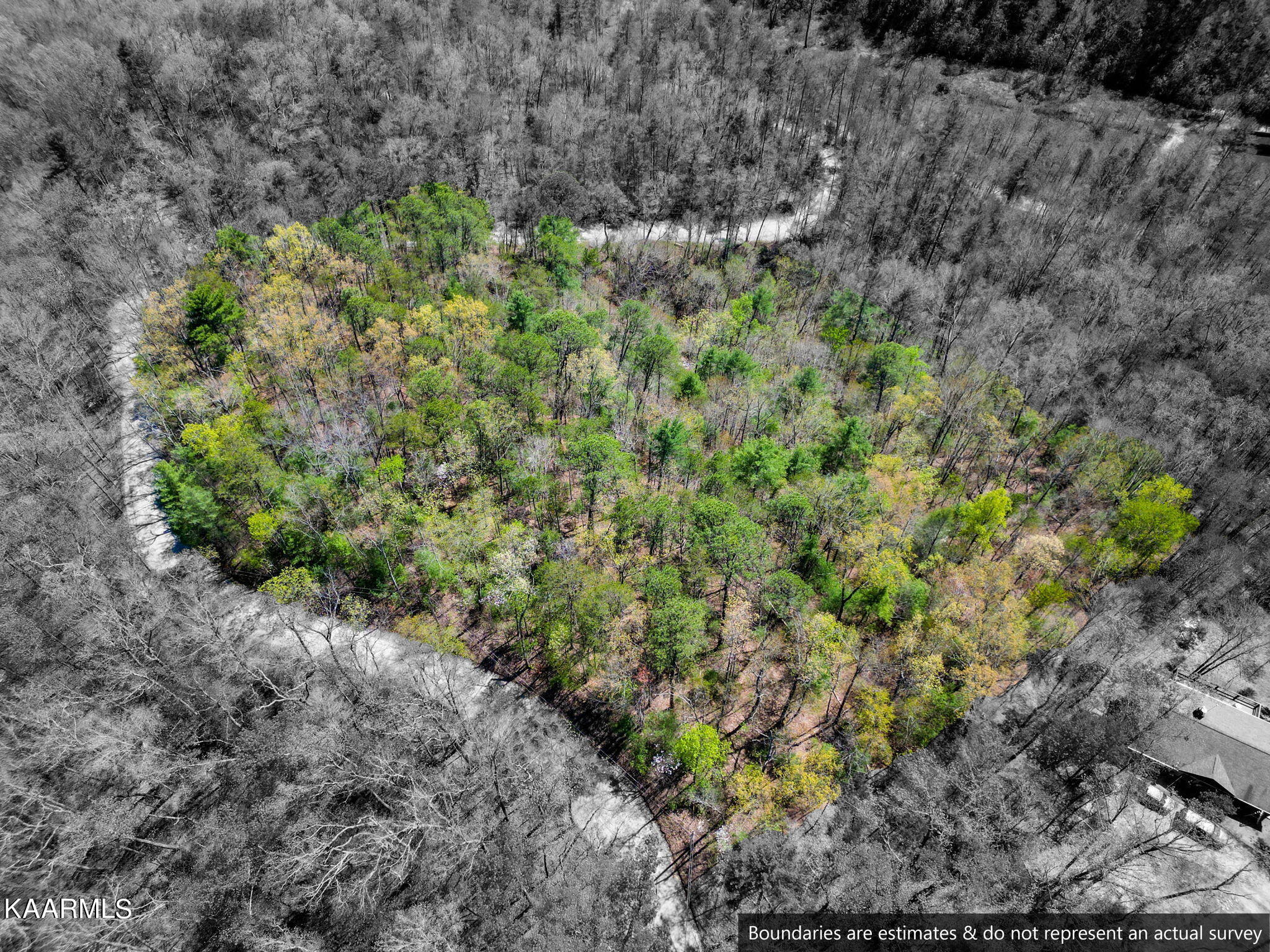 Lot 33 Oakwood Road Walland, TN 37886 - Photo 16 of 34 4-web-or-mls-DJI_0180-HDR-4 B&W Fade